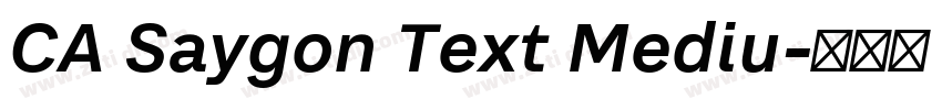 CA Saygon Text Mediu字体转换